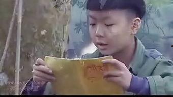 国产七妹免费视频,国产免费视频中的青春魅力演绎