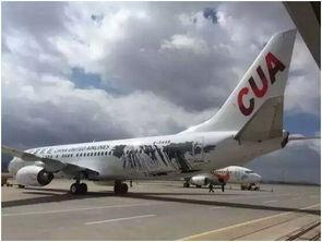 安顺国产飞机事件视频