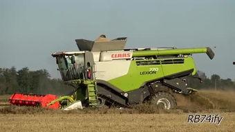 国产伐树收割机视频,高效革新林业作业新篇章