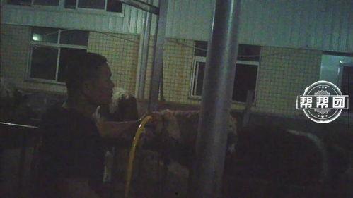 牛牛国产视频偷拍,揭秘牛牛国产视频偷拍事件  第3张